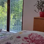 Sanjska Hisa Vojsko * Idrija