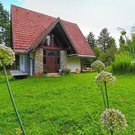 Sanjska Hisa Vojsko