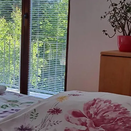 Sanjska Hisa Vojsko * Idrija