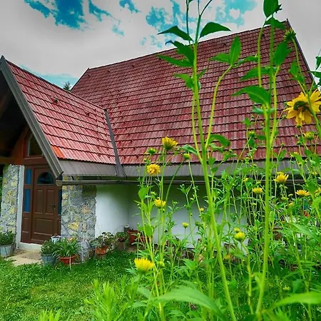 Holiday home Sanjska Hisa Vojsko