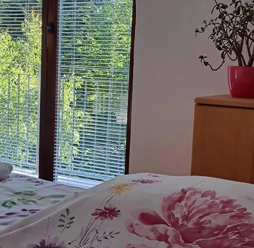 Sanjska Hisa Vojsko * Idrija