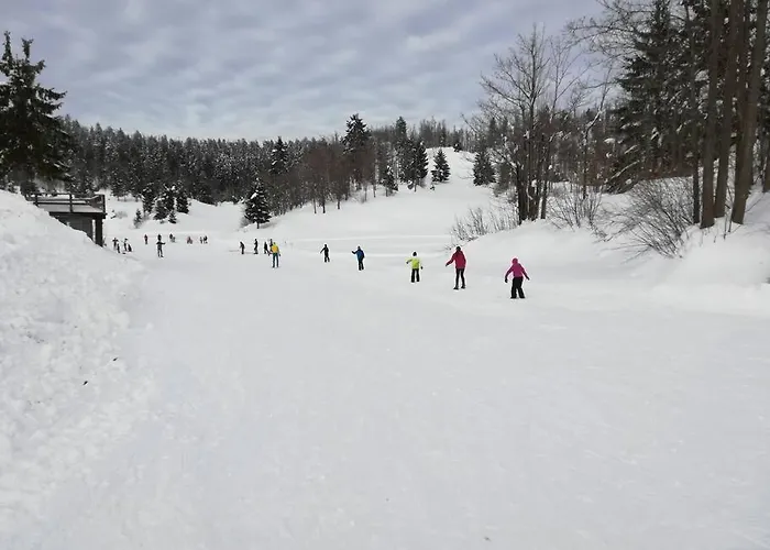 Sanjska Hisa Vojsko Idrija