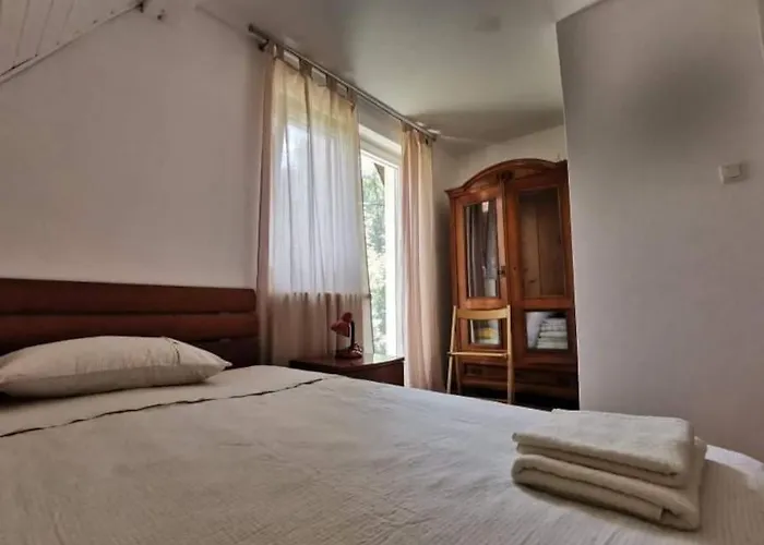 Sanjska Hisa Vojsko *